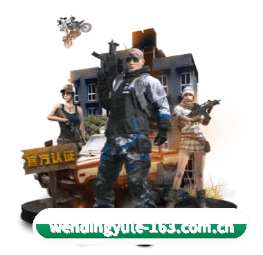 问鼎娱乐 APP 深度功能（Wending）